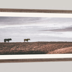 Debra Gail Fine Art WILD HORSES - KANSAS FLINT HILLS ART PRINT 2:1