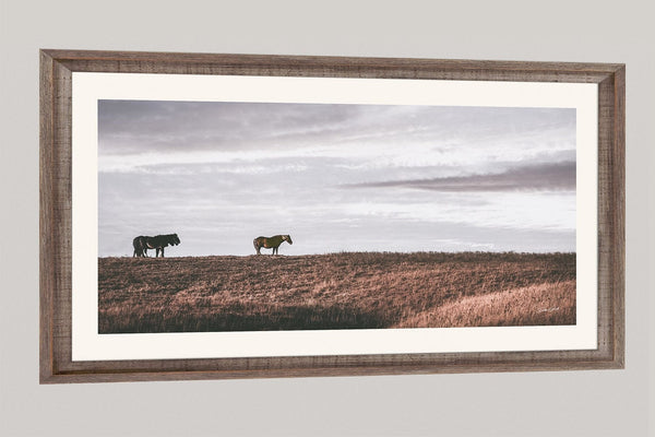 Debra Gail Fine Art WILD HORSES - KANSAS FLINT HILLS ART PRINT 2:1