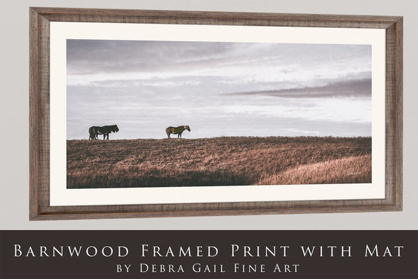 Debra Gail Fine Art WILD HORSES - KANSAS FLINT HILLS ART PRINT 2:1