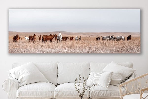 Debra Gail Fine Art WILD HORSES PANORAMIC PRINT - KANSAS PHOTOGRAPHY 3:1