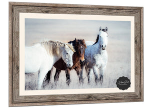 Wild horses wall art canvas print – rustic flint hills prairie farmhouse western decor