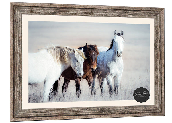 Debra Gail Fine Art WILD HORSES PRINT - FLINT HILLS WALL ART