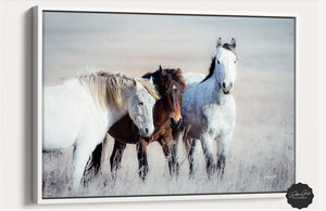 Wild horses wall art canvas print – rustic flint hills prairie farmhouse western decor