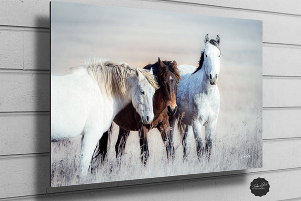 Debra Gail Fine Art WILD HORSES PRINT - FLINT HILLS WALL ART