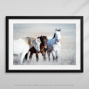 Wild horses wall art canvas print – rustic flint hills prairie farmhouse western decor