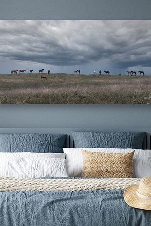 Wild Horse wall art – rustic panoramic Western fine art print by Debra Gail Fine Art