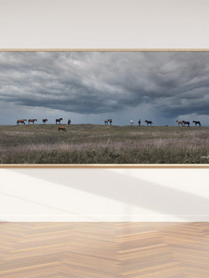 Wild Horse wall art – rustic panoramic Western fine art print by Debra Gail Fine Art