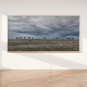 Wild Horse wall art – rustic panoramic Western fine art print by Debra Gail Fine Art