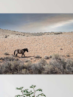 Wild Horse wall art – rustic Western fine art print by Debra Gail Fine Art