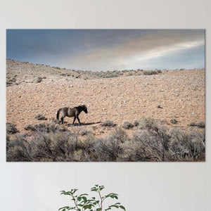 Wild Horse wall art – rustic Western fine art print by Debra Gail Fine Art