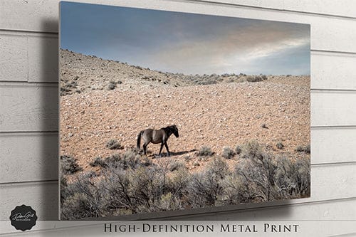 Debra Gail Fine Art WILD MUSTANG PHOTOGRAPHY - SOUTHWESTERN DECOR