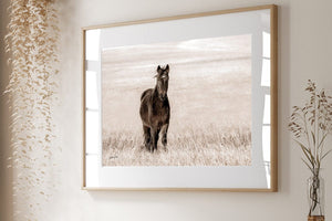 Wild Horse wall art – rustic Western fine art print by Debra Gail Fine Art