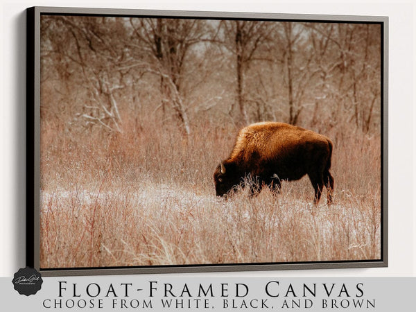 Debra Gail Fine Art WINTER BISON GRAZING - RUSTIC DECOR