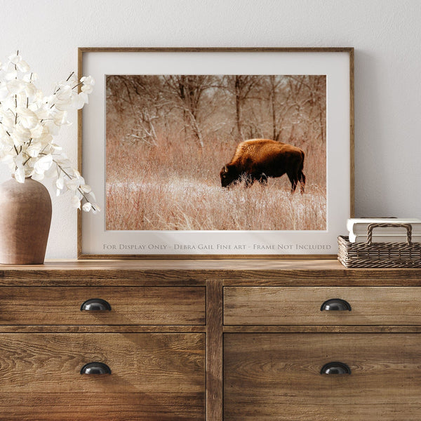 Debra Gail Fine Art WINTER BISON GRAZING - RUSTIC DECOR