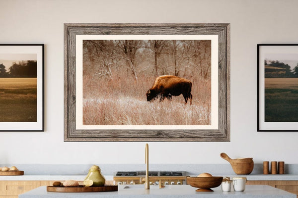 Debra Gail Fine Art WINTER BISON GRAZING - RUSTIC DECOR