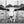 Debra Gail Fine Art XL LONGHORN BLACK AND WHITE CANVAS SET