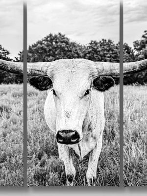 Longhorn triptych wall art – XL rustic farmhouse split canvas fine art print by Debra Gail Fine Art