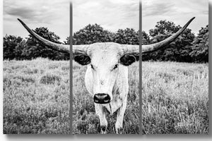 Longhorn triptych wall art – XL rustic farmhouse split canvas fine art print by Debra Gail Fine Art