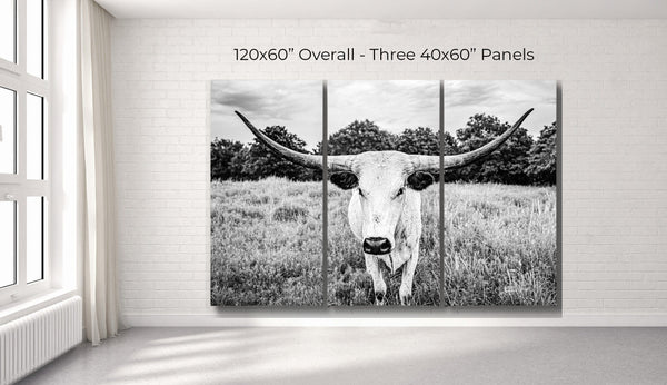 Debra Gail Fine Art XL LONGHORN BLACK AND WHITE CANVAS SET