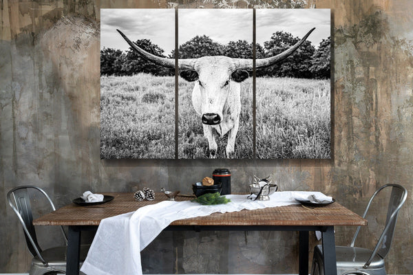 Debra Gail Fine Art XL LONGHORN BLACK AND WHITE CANVAS SET