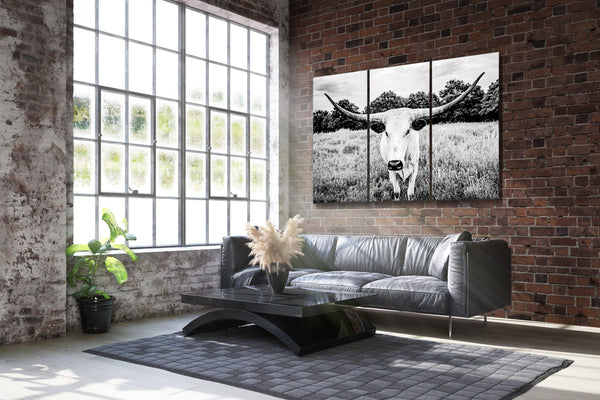 Debra Gail Fine Art XL LONGHORN BLACK AND WHITE CANVAS SET