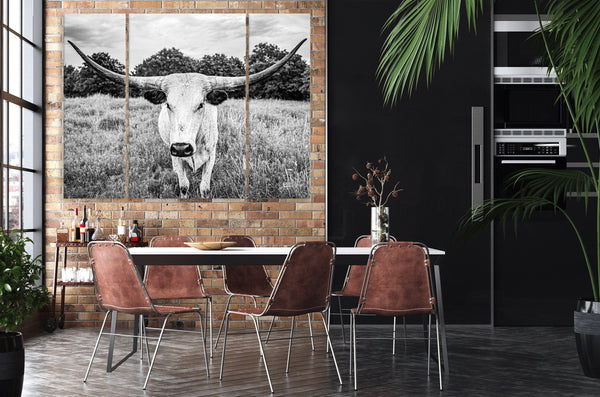 Debra Gail Fine Art XL LONGHORN BLACK AND WHITE CANVAS SET