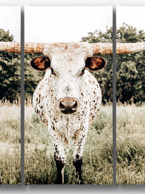 Longhorn cow split canvas wall art – XL rustic Western triptych cattle ranch decor