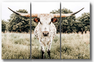 Longhorn cow split canvas wall art – XL rustic Western triptych cattle ranch decor