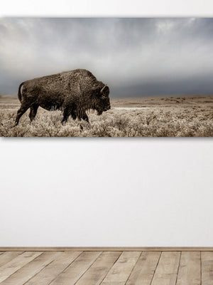 A panoramic canvas print featuring a large American Bison (Buffalo) in a field with a dramatic sky, placed on a wall with a wooden floor below it.