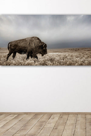 A panoramic canvas print featuring a large American Bison (Buffalo) in a field with a dramatic sky, placed on a wall with a wooden floor below it.