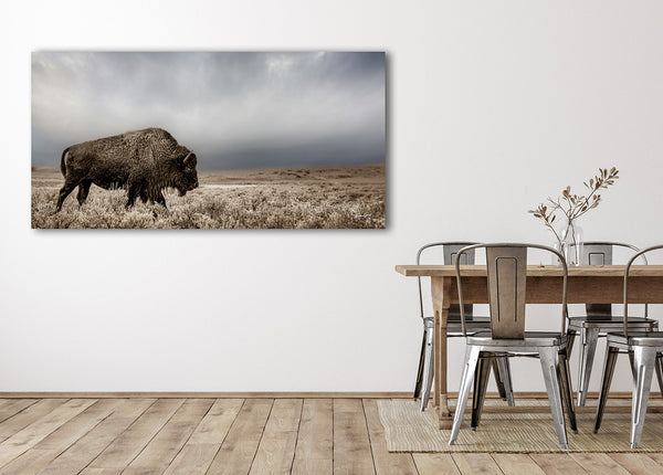 American Bison Panoramic Western Wall Art Canvas or Print