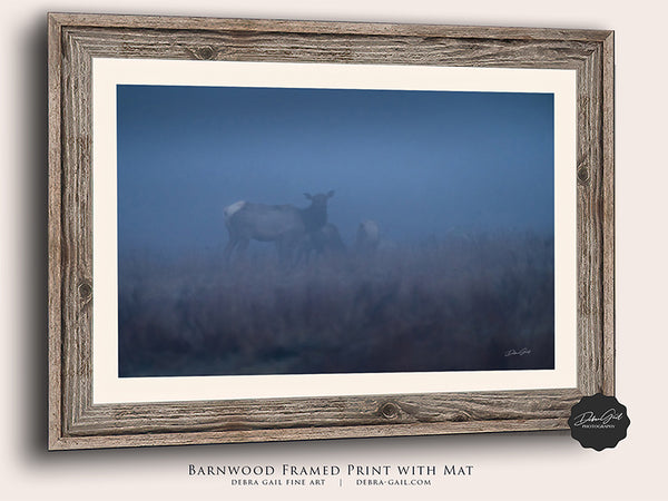 a picture of two horses in a foggy field