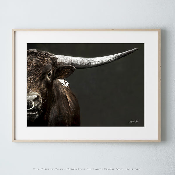 a picture of a bull with long horns hanging on a wall