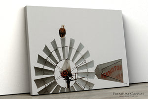 Bald eagle perched on an American windmill fine art western wildlife wall decor