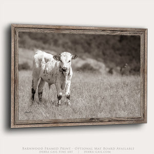A black and white photograph of a cow standing in a grassy field.
