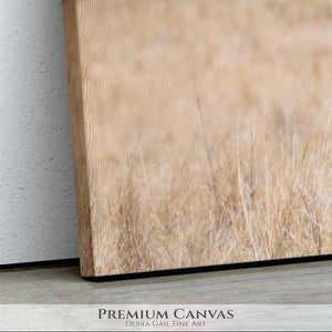 Premium large wall art canvas by Debra Gail