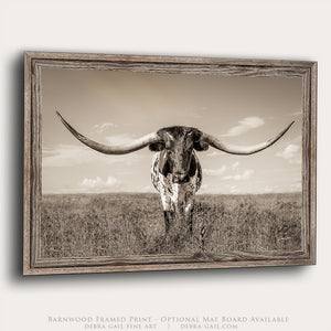 A black and white photograph of a large longhorn cattle standing in a grassy field.