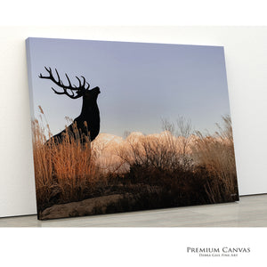 Detail of archival canvas texture and black rigid backing for museum-quality art.