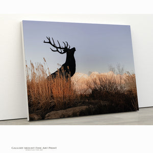 Detail of archival canvas texture and black rigid backing for museum-quality art.