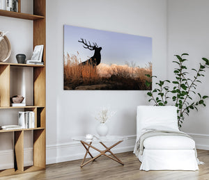 Oversized elk statement piece over a neutral sofa in a modern lodge living room