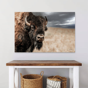 Bison Bull Close Up Photography | Rustic Buffalo Prairie Canvas Print