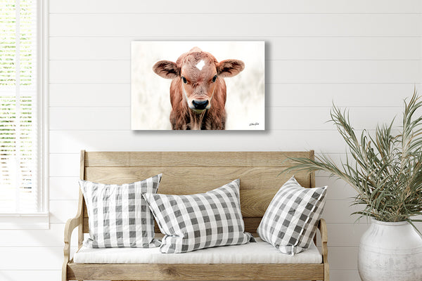 CUTE COW CALF CANVAS PICTURE - FARMHOUSE DECOR