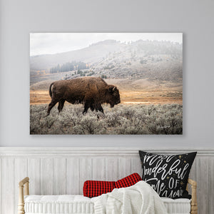 Bison Wall Art - Large Buffalo Canvas Print | Rustic Western Home Decor
