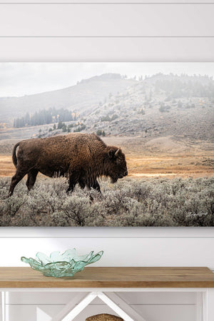Buffalo Bison wall art canvas – rustic prairie photography print by Debra Gail Fine Art