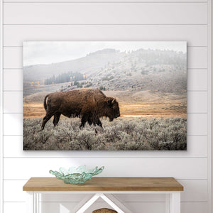 Bison Wall Art - Large Buffalo Canvas Print | Rustic Western Home Decor
