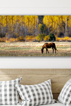 Horse wall art – panoramic rustic Western fine art print by Debra Gail Fine Art