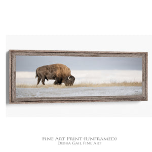 Bison Panoramic Wall Art | Extra Wide Western Decor Canvas