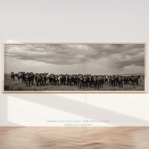 Black Angus Photography in Sepia | Panoramic Wide Cattle Canvas - Rustic Decor