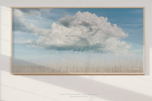 Under a Kansas Sky | Quivira Prairie Landscape Photography