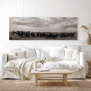 Black Angus Photography in Sepia | Panoramic Wide Cattle Canvas - Rustic Decor